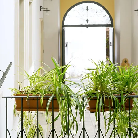 Dimora San Vincenzo Bed & Breakfast 3*