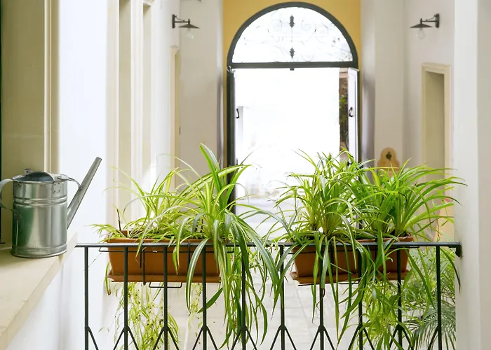 Dimora San Vincenzo Bed and breakfast 3*